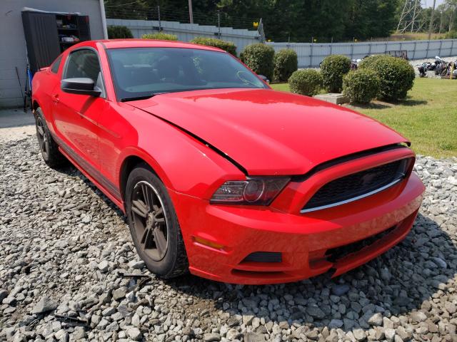 FORD MUSTANG 2013 1zvbp8am8d5248734