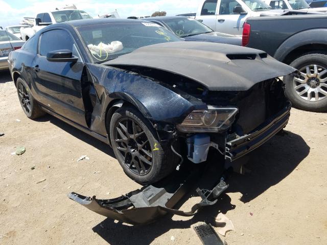 FORD MUSTANG 2013 1zvbp8am8d5252816