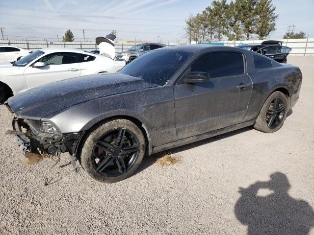 FORD MUSTANG 2013 1zvbp8am8d5252900