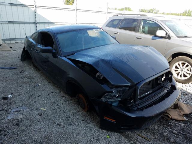 FORD MUSTANG 2013 1zvbp8am8d5253321