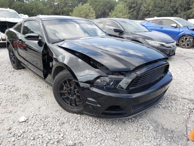 FORD MUSTANG 2013 1zvbp8am8d5255246