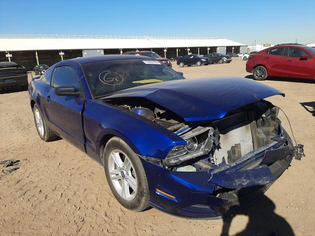 FORD MUSTANG 2013 1zvbp8am8d5255442