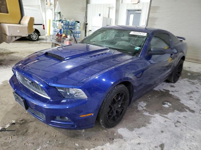 FORD MUSTANG 2013 1zvbp8am8d5257000