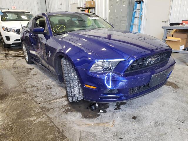 FORD MUSTANG 2013 1zvbp8am8d5258714