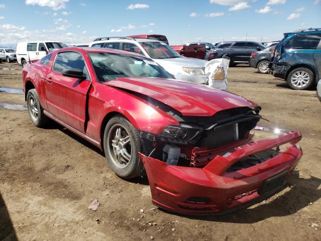 FORD MUSTANG 2013 1zvbp8am8d5262410