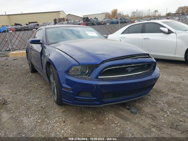 FORD MUSTANG 2013 1zvbp8am8d5263413