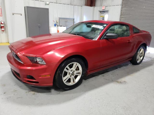 FORD ALL MODELS 2013 1zvbp8am8d5268322