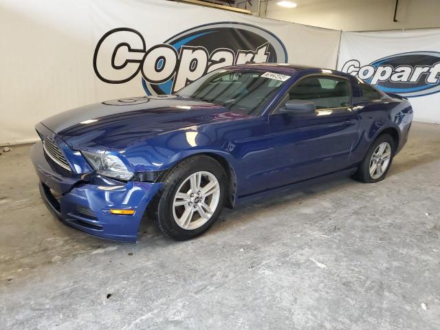 FORD MUSTANG 2013 1zvbp8am8d5268918