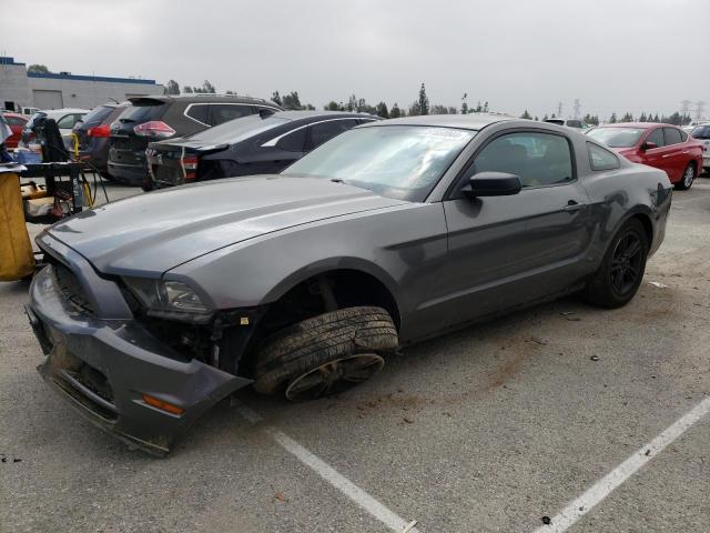 FORD MUSTANG 2013 1zvbp8am8d5269664