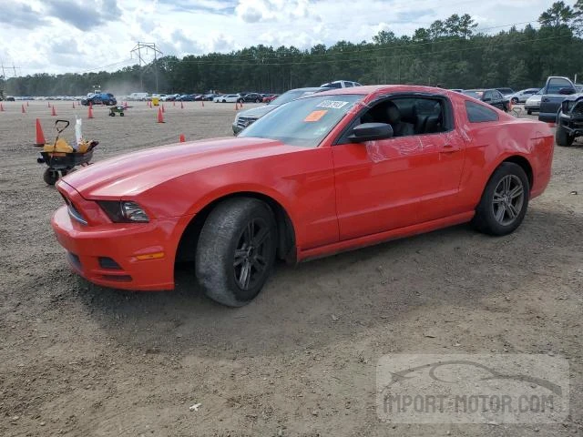 FORD MUSTANG 2013 1zvbp8am8d5272032