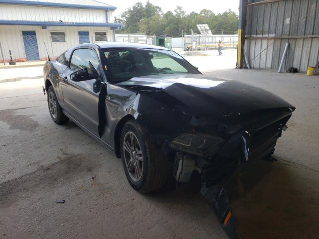 FORD MUSTANG 2013 1zvbp8am8d5272080