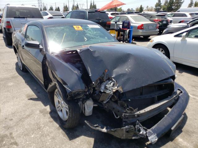 FORD MUSTANG 2013 1zvbp8am8d5276047