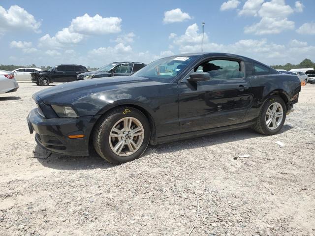 FORD MUSTANG 2013 1zvbp8am8d5279143