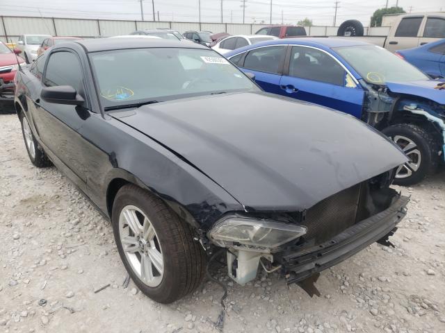 FORD MUSTANG 2013 1zvbp8am8d5281782