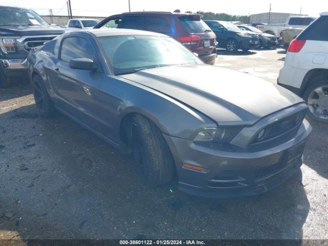 FORD MUSTANG 2013 1zvbp8am8d5281992