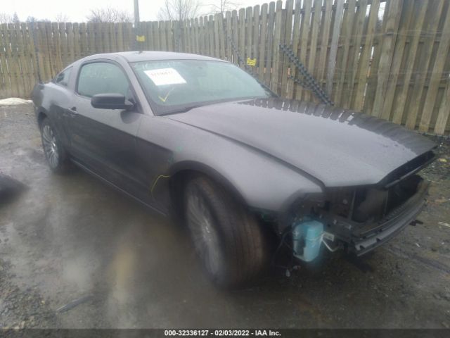 FORD MUSTANG 2014 1zvbp8am8e5199925