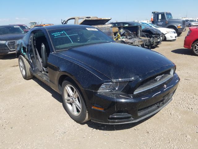 FORD MUSTANG 2014 1zvbp8am8e5200314