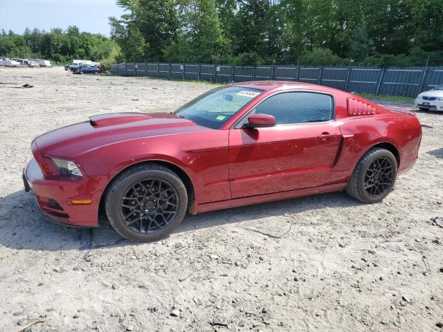 FORD MUSTANG 2014 1zvbp8am8e5202337