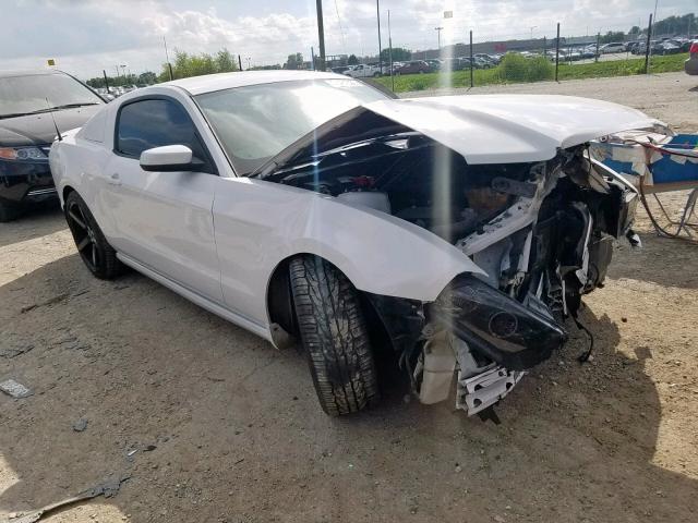 FORD MUSTANG 2014 1zvbp8am8e5203164