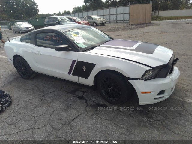 FORD MUSTANG 2014 1zvbp8am8e5221020