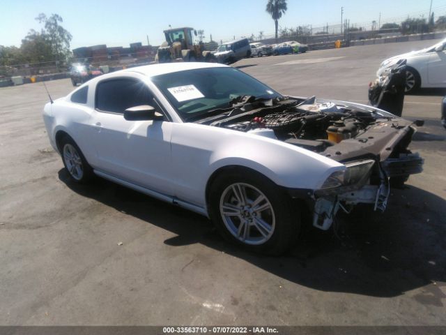 FORD MUSTANG 2014 1zvbp8am8e5239811