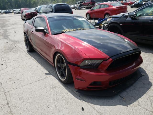 FORD MUSTANG 2014 1zvbp8am8e5249612