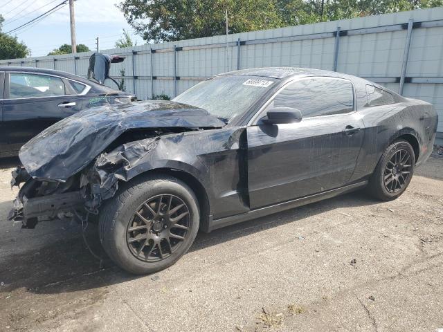 FORD ALL MODELS 2014 1zvbp8am8e5256656