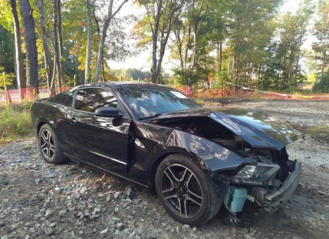 FORD MUSTANG 2014 1zvbp8am8e5265647