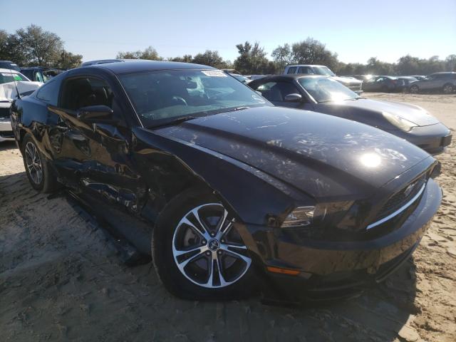 FORD MUSTANG 2014 1zvbp8am8e5266622