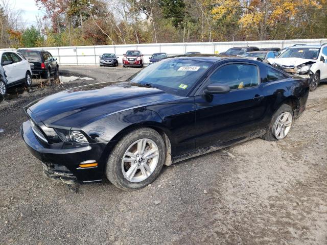 FORD MUSTANG 2014 1zvbp8am8e5272808