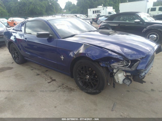 FORD MUSTANG 2014 1zvbp8am8e5279841