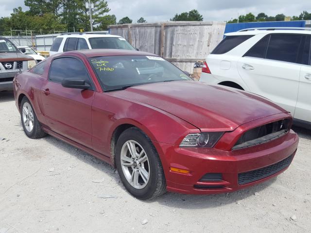 FORD MUSTANG 2014 1zvbp8am8e5282819