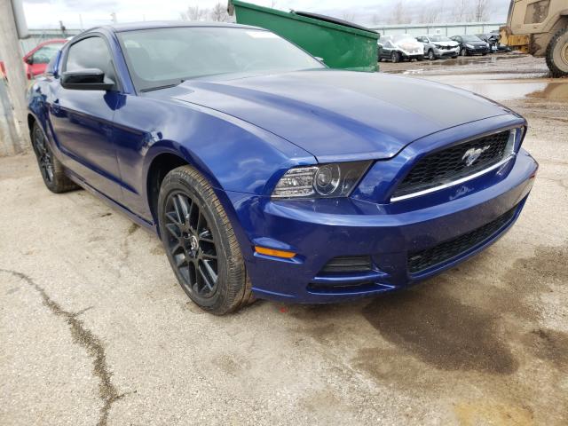 FORD MUSTANG 2014 1zvbp8am8e5283548