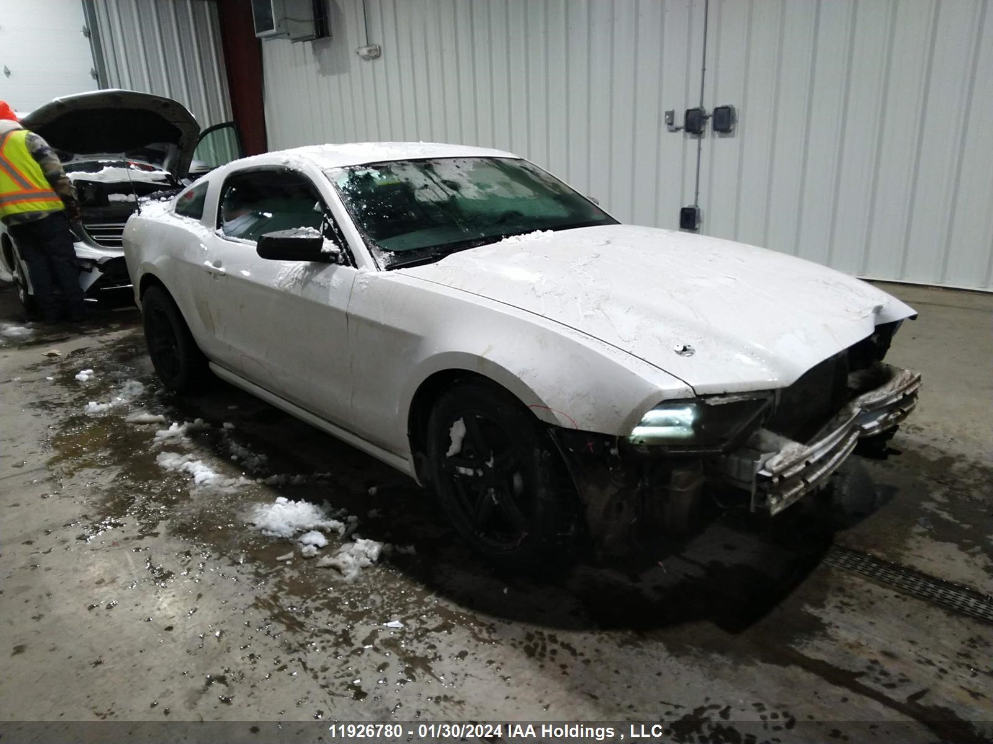 FORD MUSTANG 2014 1zvbp8am8e5302924