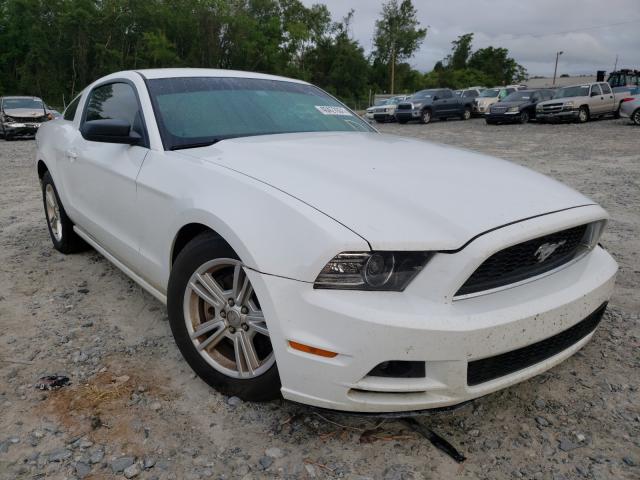 FORD MUSTANG 2014 1zvbp8am8e5305743