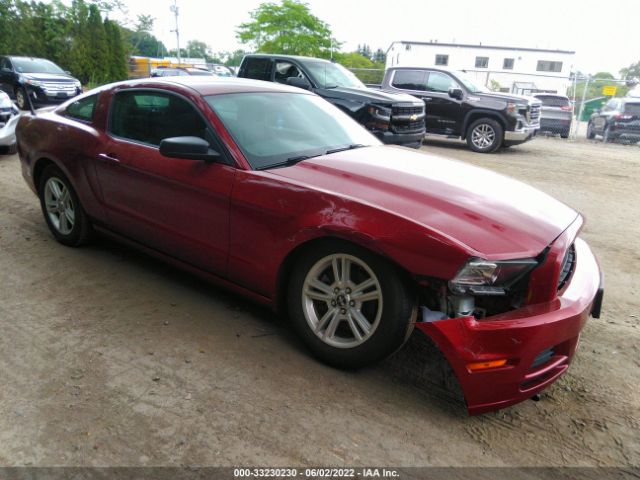 FORD MUSTANG 2014 1zvbp8am8e5305838