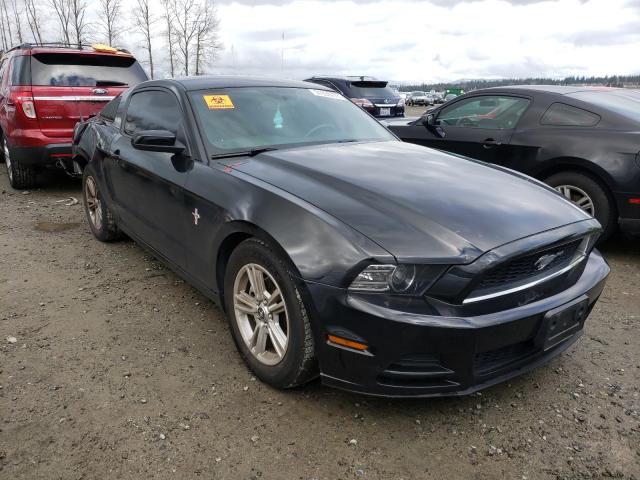 FORD MUSTANG 2014 1zvbp8am8e5310327