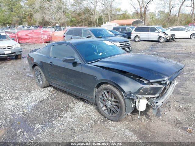 FORD MUSTANG 2014 1zvbp8am8e5320193