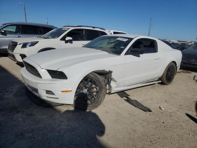 FORD MUSTANG 2014 1zvbp8am8e5320551