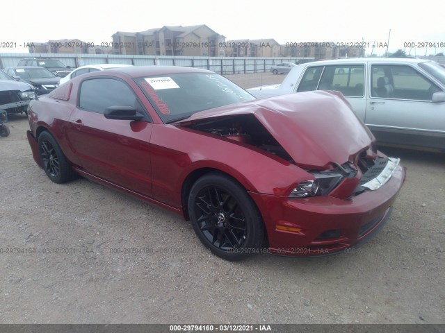 FORD MUSTANG 2014 1zvbp8am8e5320954