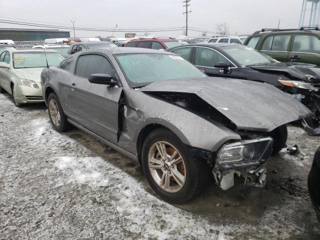 FORD MUSTANG 2014 1zvbp8am8e5322025