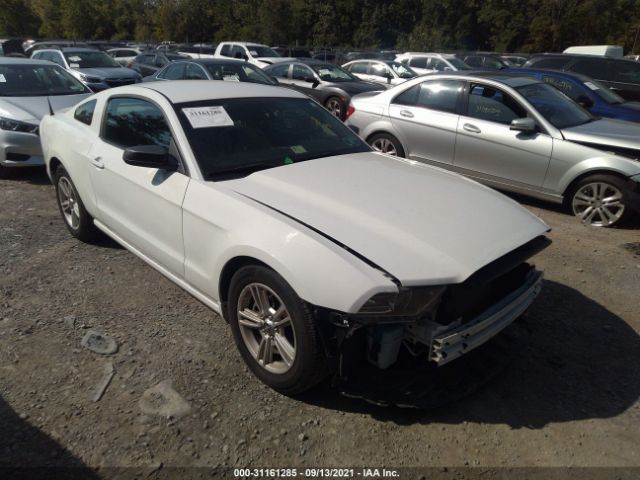 FORD MUSTANG 2014 1zvbp8am8e5325619