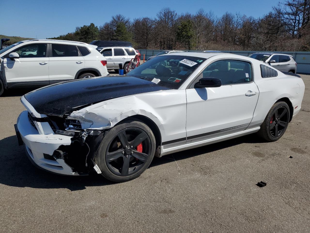 FORD MUSTANG 2014 1zvbp8am8e5331341