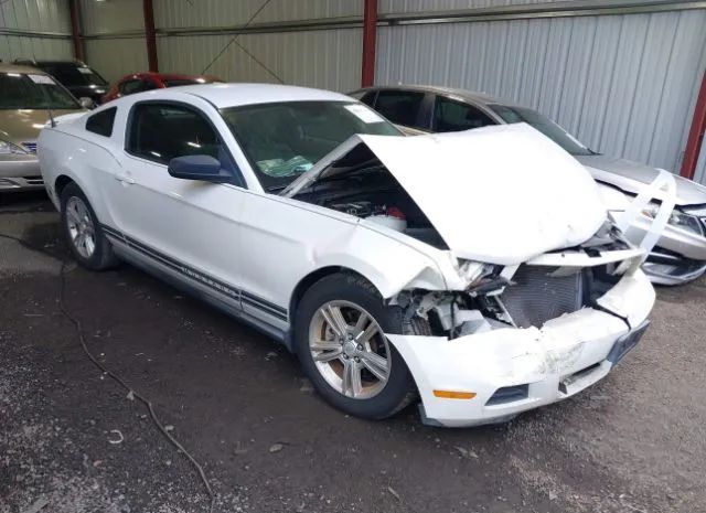 FORD MUSTANG 2011 1zvbp8am9b5112576