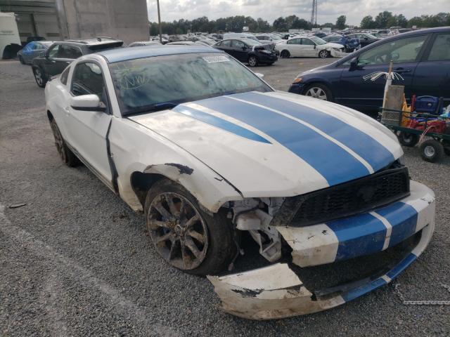 FORD MUSTANG 2011 1zvbp8am9b5119012