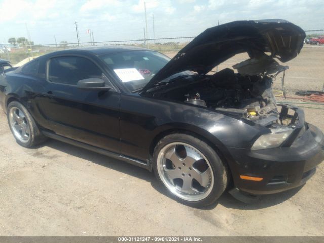 FORD MUSTANG 2011 1zvbp8am9b5124310