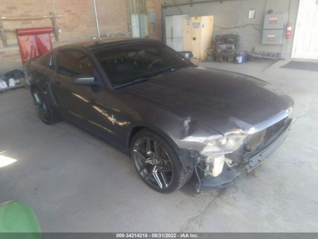 FORD MUSTANG 2011 1zvbp8am9b5128583