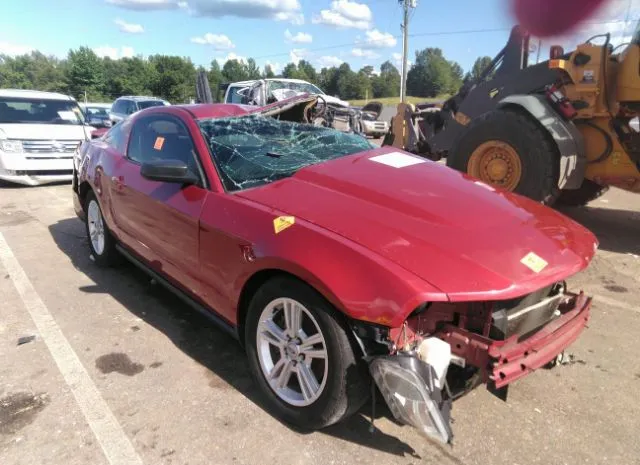 FORD MUSTANG 2011 1zvbp8am9b5130012