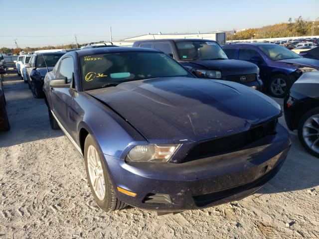 FORD MUSTANG 2011 1zvbp8am9b5131550