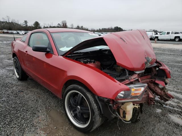 FORD MUSTANG 2011 1zvbp8am9b5132620